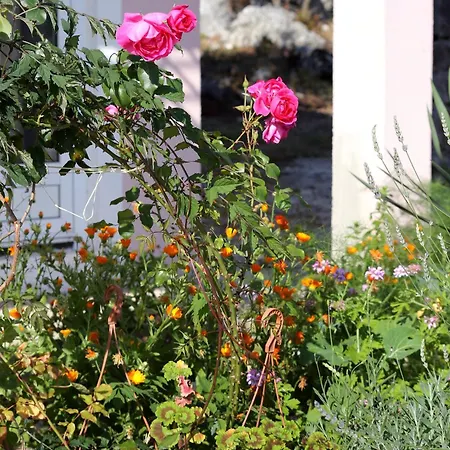 By The Sea Zuronja - Peljesac - 10123 * Brijesta