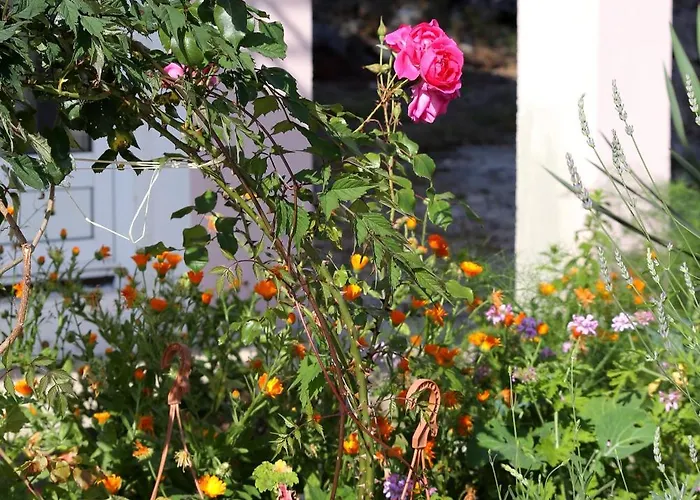 By The Sea Zuronja - Peljesac - 10123 * Brijesta